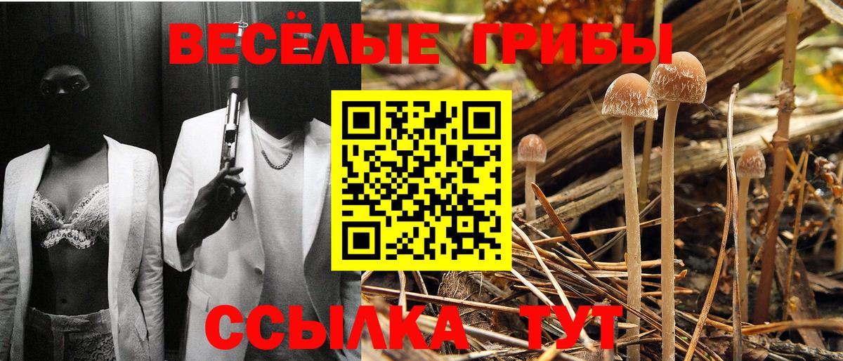 Галлюциногенные грибы прущие грибы  Вход с VPN  Заводоуковск 